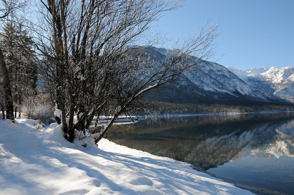 Apartment Dijak Bohinj Εξωτερικό φωτογραφία