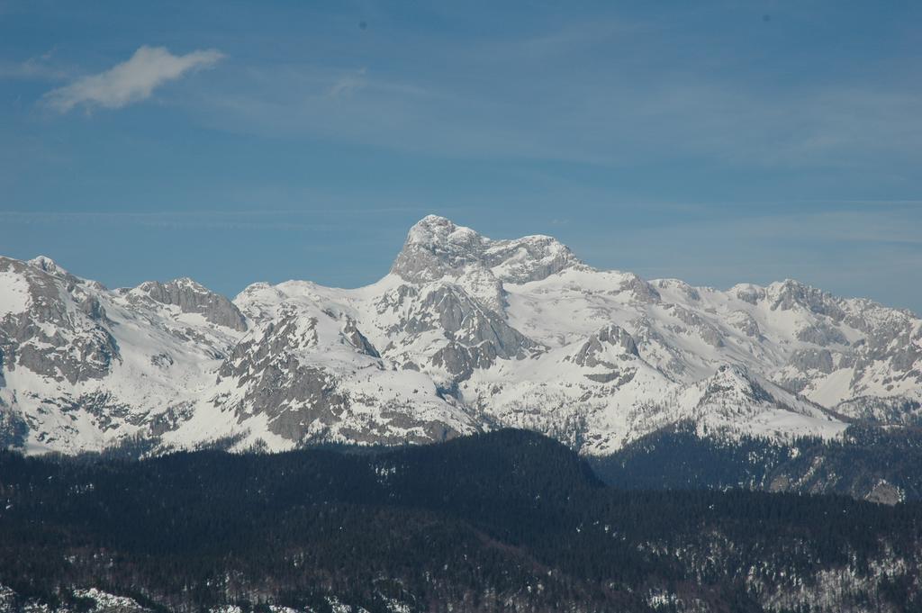 Apartment Dijak Bohinj Εξωτερικό φωτογραφία